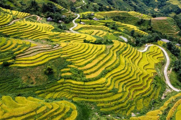 Hoang Su Phi